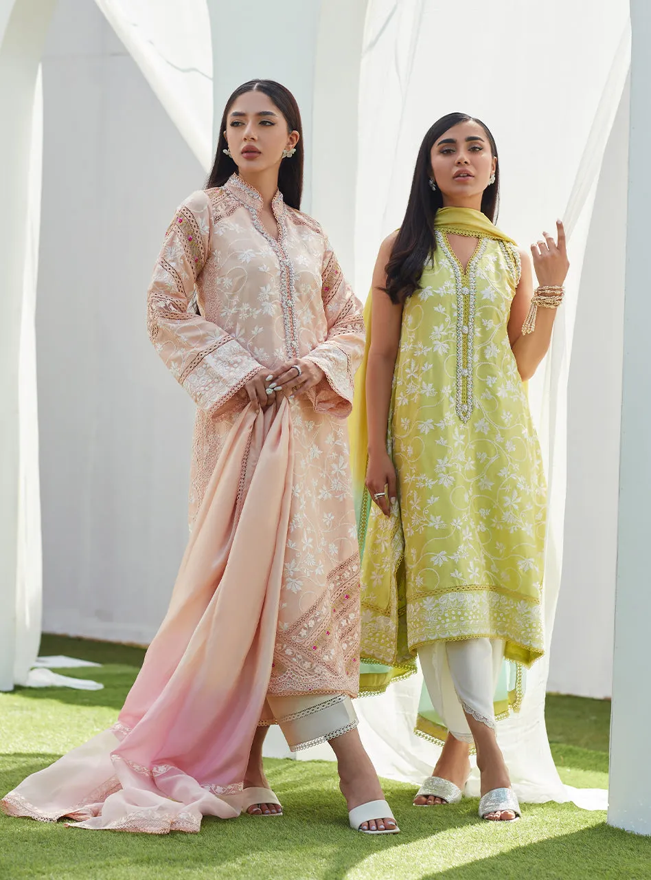 Dawn Peach Embroidered Silk Shirt and Dupatta