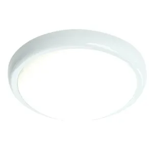 Delaware 330mm 15 Watt LED IP20 Ceiling/Wall Light