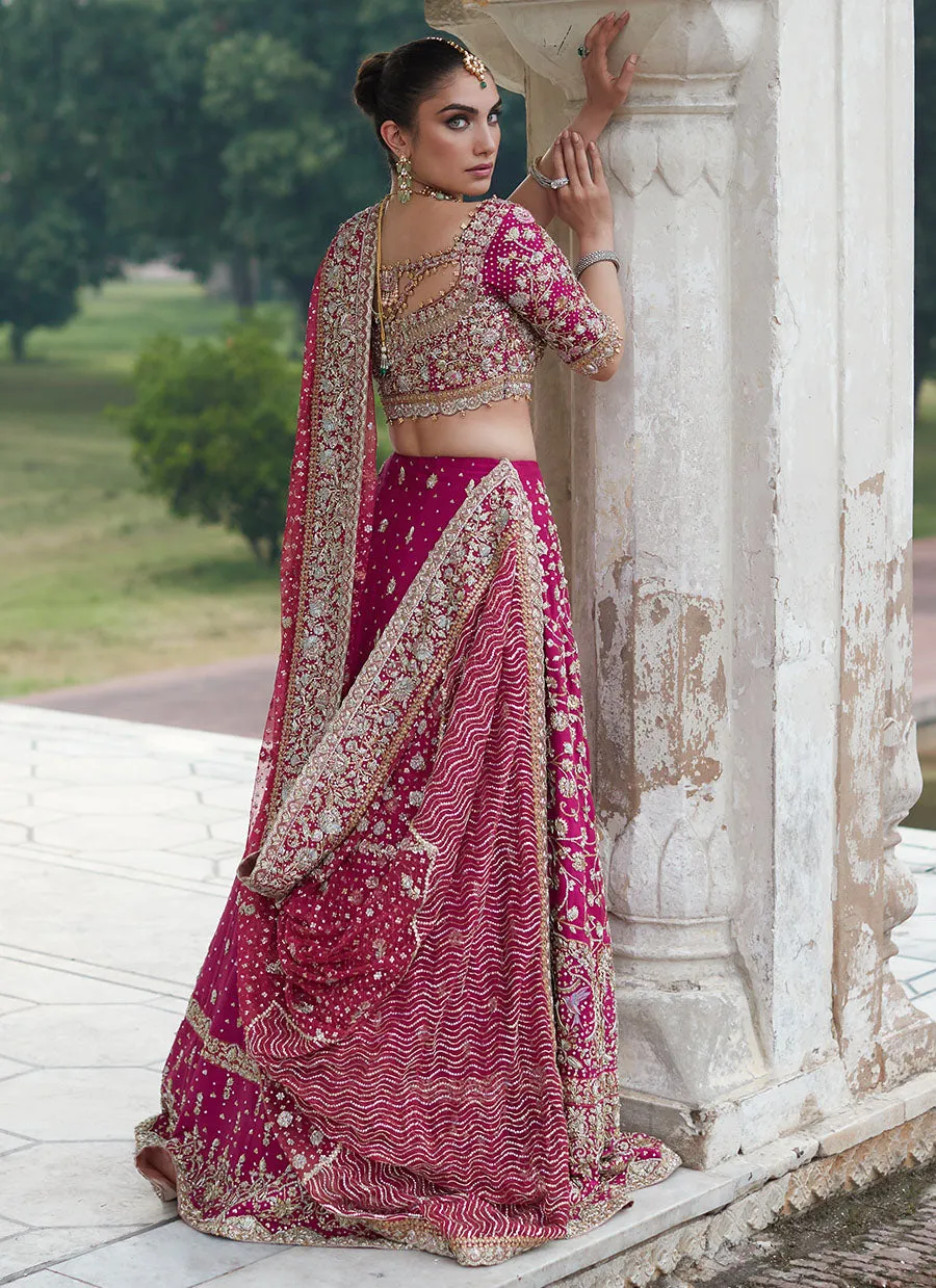 Gul Bano Berry Lehnga Choli Bridal